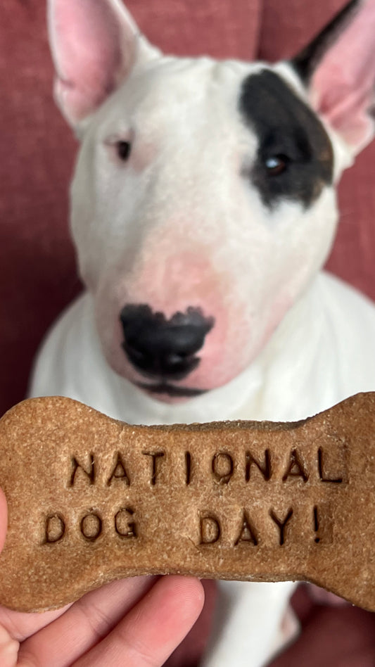 National Dog Day