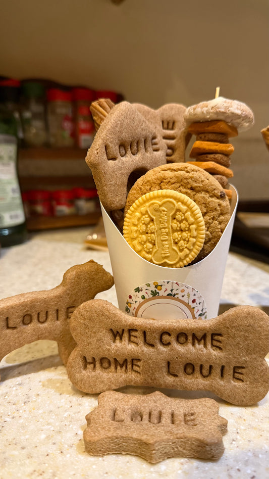 Welcome Home Doggy Package